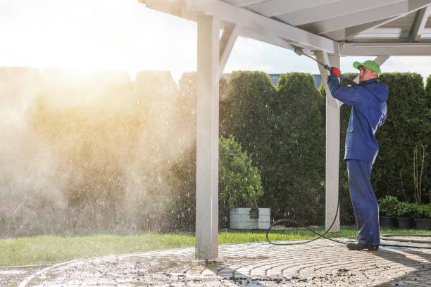 Pre-Holiday Cleaning in Gages Lake, IL